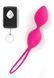 Вагінальні кульки Dorcel Divine Balls, діаметр 3,5см, вага 91гр (MD1472) 1259123127 фото 1