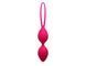 Вагінальні кульки Dorcel Divine Balls, діаметр 3,5см, вага 91гр (MD1472) 1259123127 фото 4