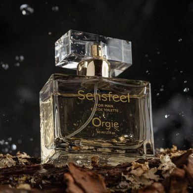 Чоловічі парфуми із феромонами Orgie Sensfeel for an Чоловічі парфуми із феромонами 10 мл ( SX1539 ) 2495881600 фото