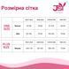 Эротический комплект JSY &laquo;Послушная Дженни&raquo; One Size, две портупеи, пэстис, фиксаторы, стринги 2086211189 фото 4