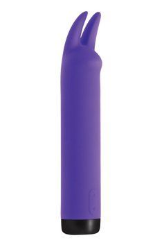 Вібратор S Pleasures Bullets Amethyst, фіолетовий, з двома відростками, 10 режимів, діаметр 3,1 см 2580332908 фото