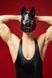 Маска собаки для BDSM: D&A 2102287589 фото 2