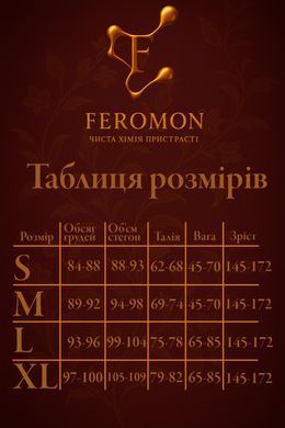 Романтический Вечер: Сексуальный Комплект Белья M Белый ( 500 027 ) 1988134645 фото